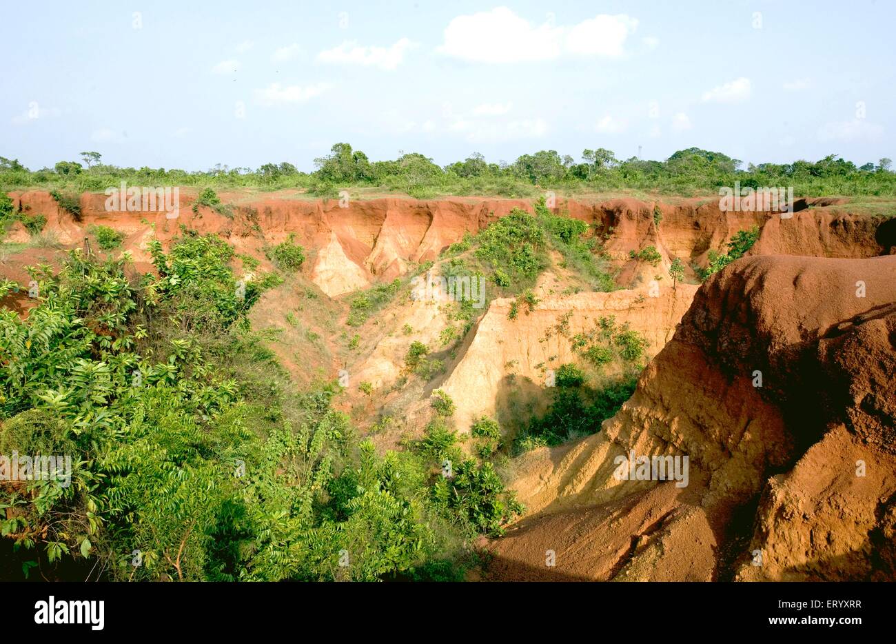 Indian Grand Canyon, fiume Shilabati, Gangani, Garbeta, Garhbeta, Midnapur, Medinipur Sadar, distretto di Paschim Medinipur, Bengala Occidentale, India, Asia Foto Stock