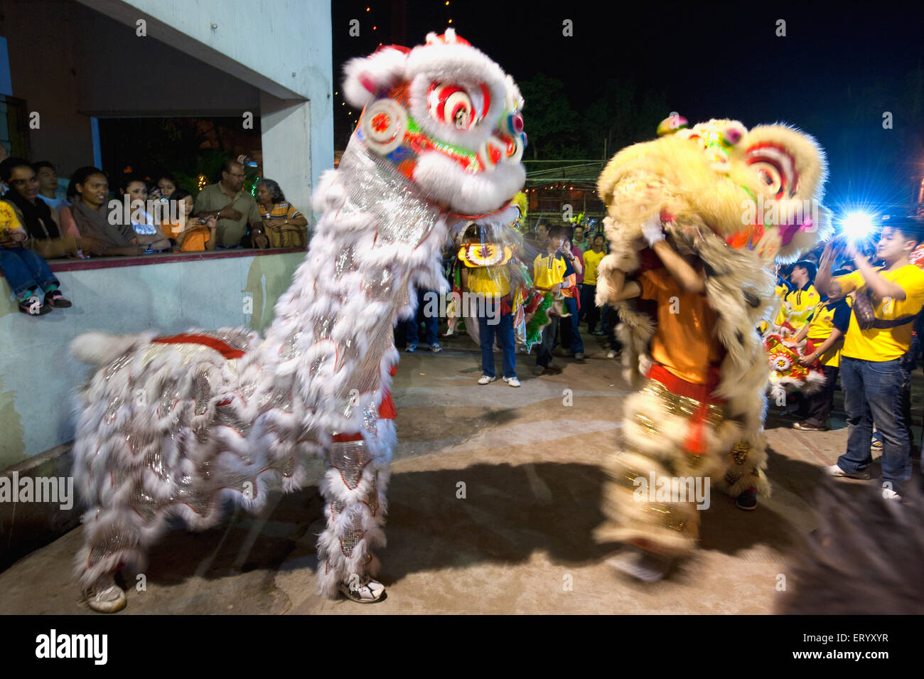 Leone maschera danza, cinese nuovo anno celebrazione, Calcutta, Kolkata, Bengala occidentale, India, asia Foto Stock