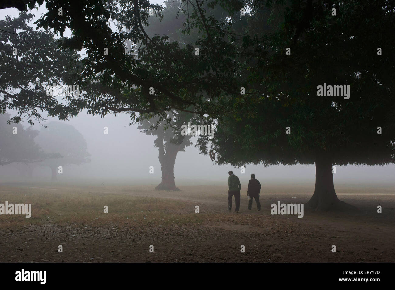 Maidan, Brigade Parade Ground, il più grande parco urbano, nebbia invernale mattutina, Calcutta, Kolkata, Bengala Occidentale, India, Asia Foto Stock