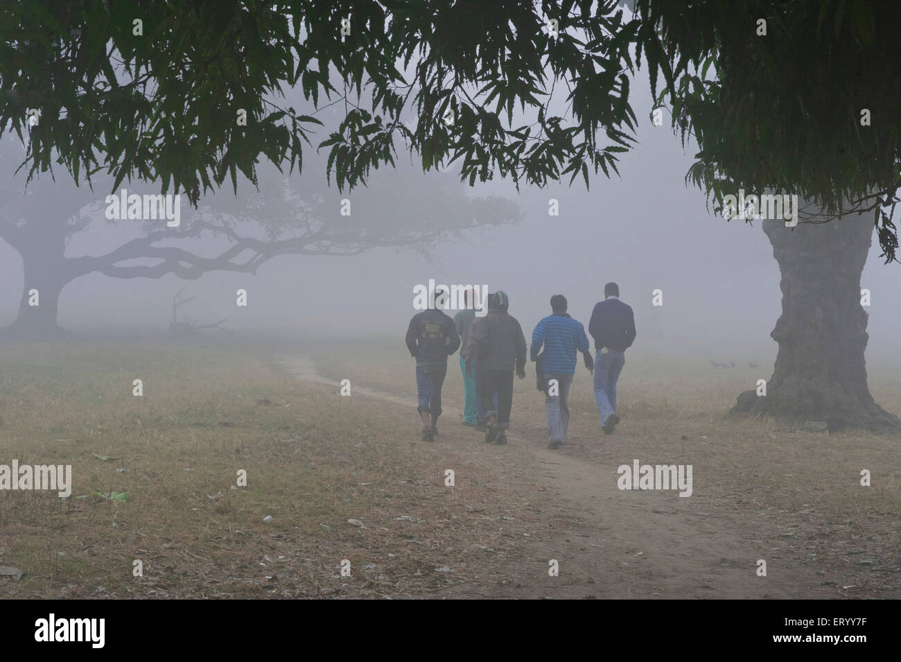 Maidan, Brigade Parade Ground, il più grande parco urbano, nebbia invernale mattutina, Calcutta, Kolkata, Bengala Occidentale, India, Asia Foto Stock