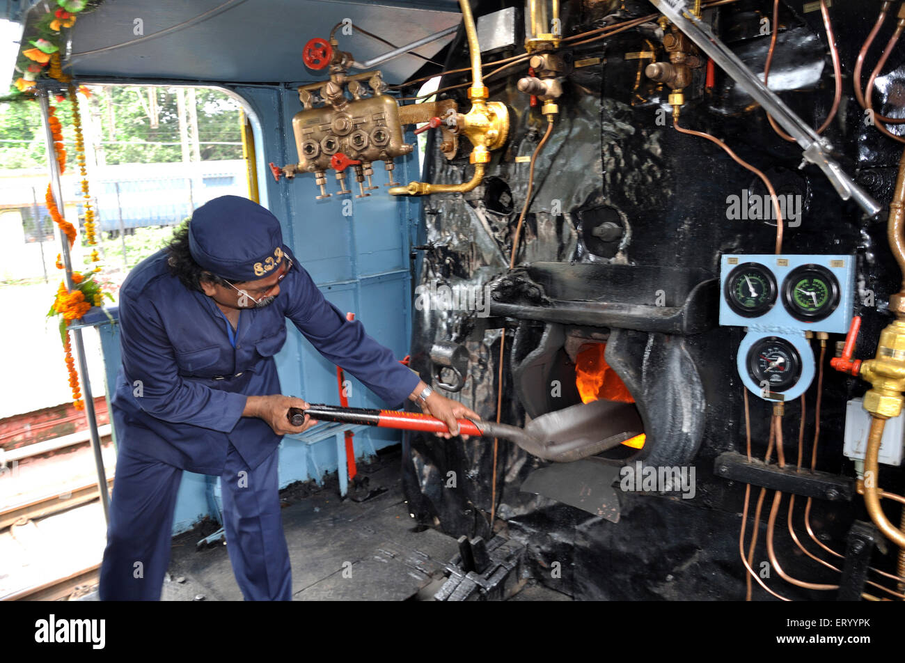 Motore ferroviario a vapore , Ferrovia Himalayana Darjeeling , DHR , treno giocattolo , nuovo Jalpaiguri , Darjeeling , Bengala Occidentale , India , Asia Foto Stock