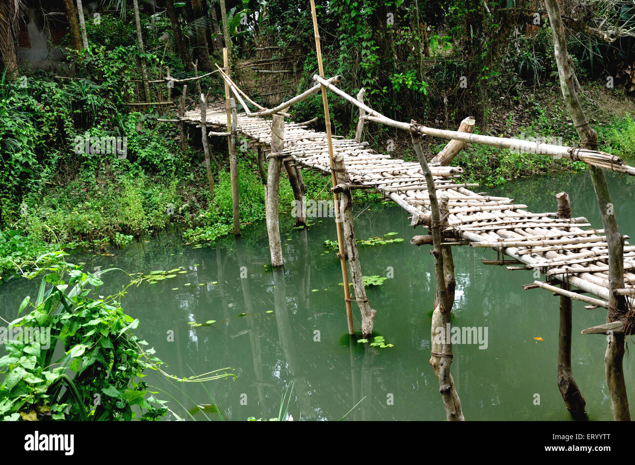 Il ponte di bambù , villaggio di Raghurajpur , Puri , Orissa , Odisha , India , asia Foto Stock