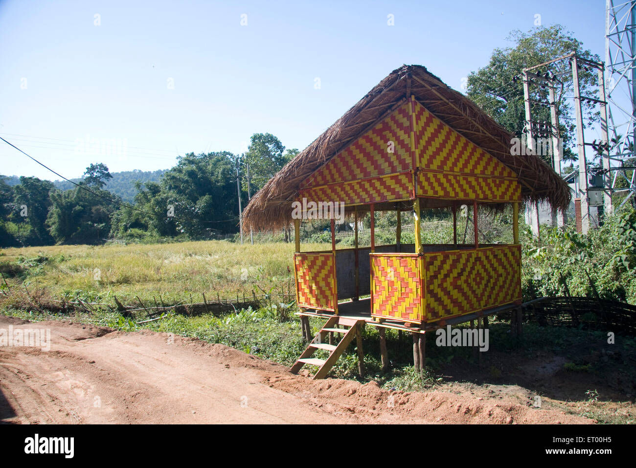 Capanna di bambù di legno , Burapahar Tea Estate , Nagaon , Assam , India , asia Foto Stock