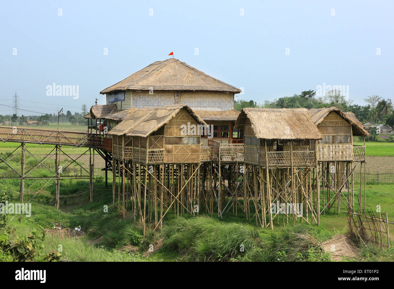 Casa di bambù stilt , Dispur , Gauhati , Guwahati , Assam , India , Asia Foto Stock