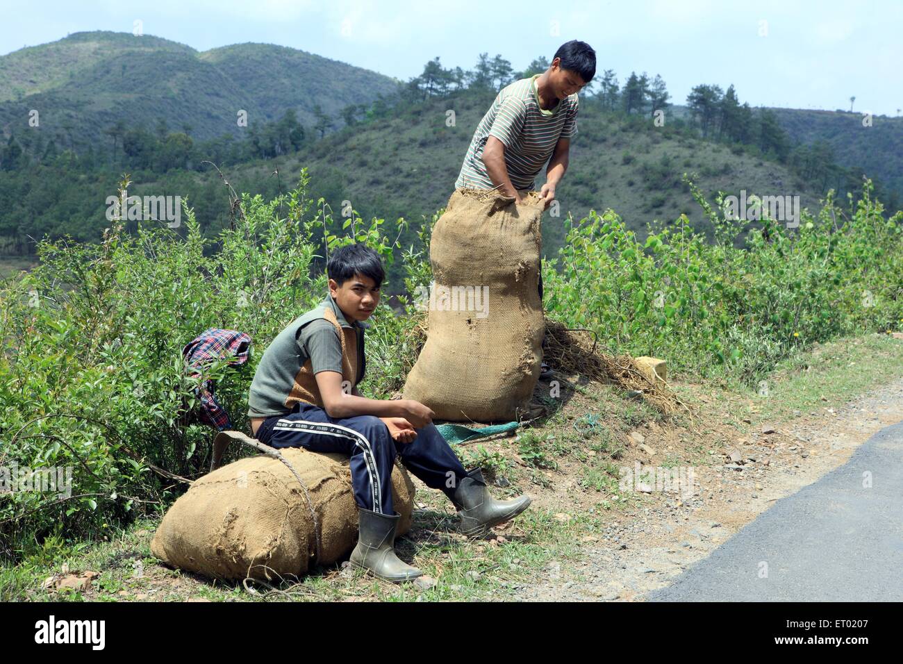 Ragazzi tribali con il loro farm rese su un lato strada ; Shillong ; Meghalaya ; India NOMR Foto Stock