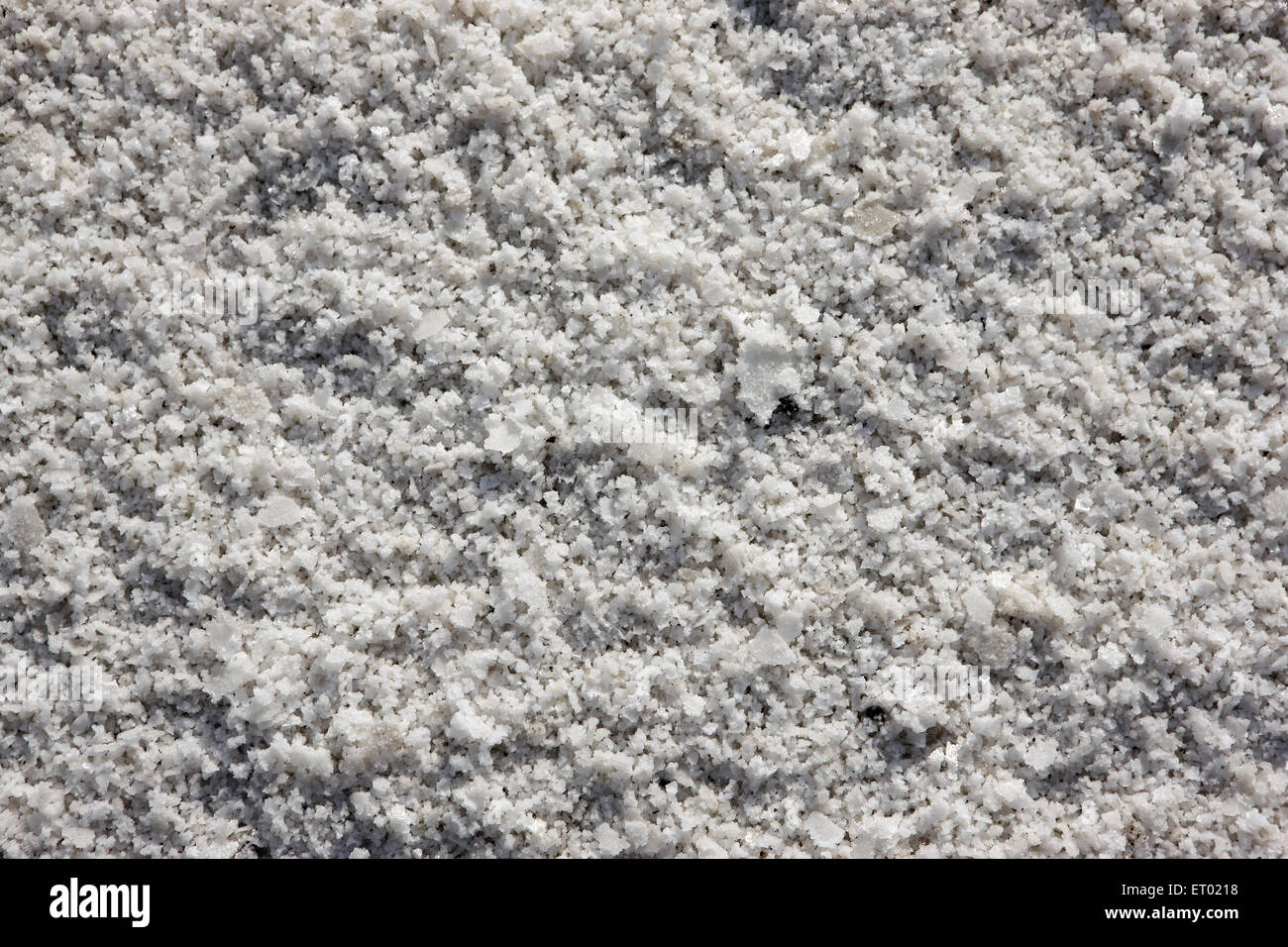 Sale di mare, saline, Wadala, saline farm, Bombay, Mumbai, Maharashtra, India, Asia Foto Stock