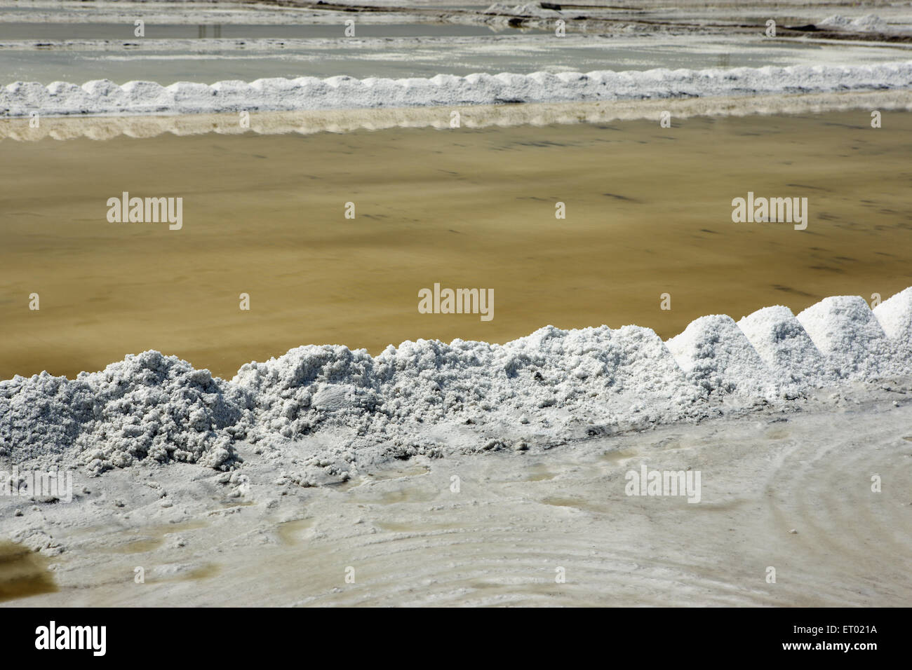 Sale marino, saline, saline farm di Wadala, Bombay, Mumbai, Maharashtra, India, Asia Foto Stock