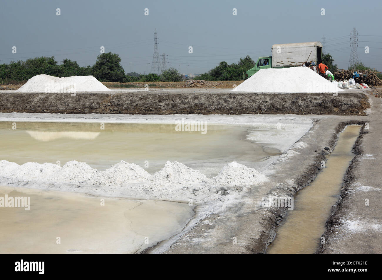 Sale marino, saline, saline farm di Wadala, Bombay, Mumbai, Maharashtra, India, Asia Foto Stock
