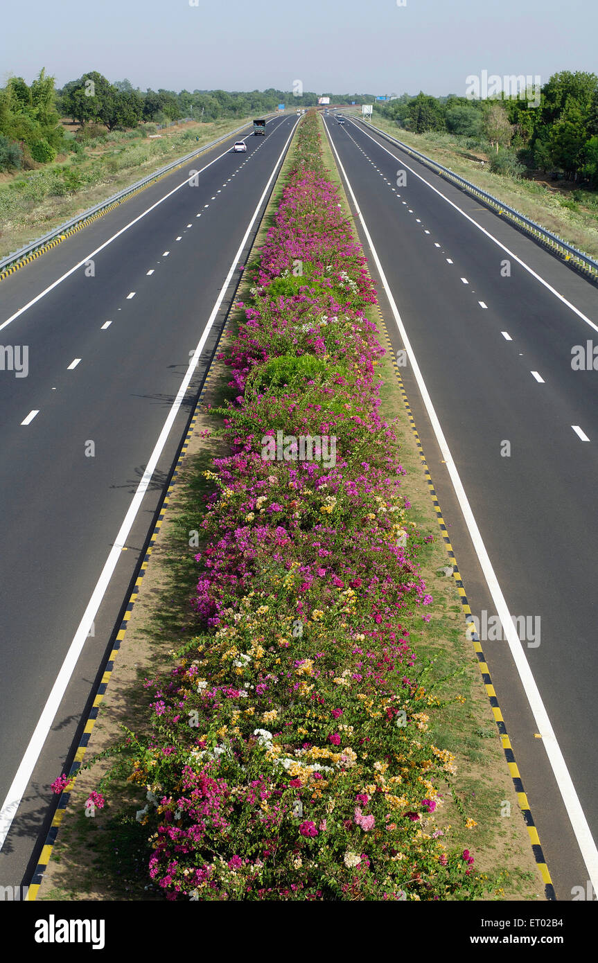Ahmedabad Vadodara Expressway con fiori bed autostrade nazionali Autorità del Gujarat India India Foto Stock