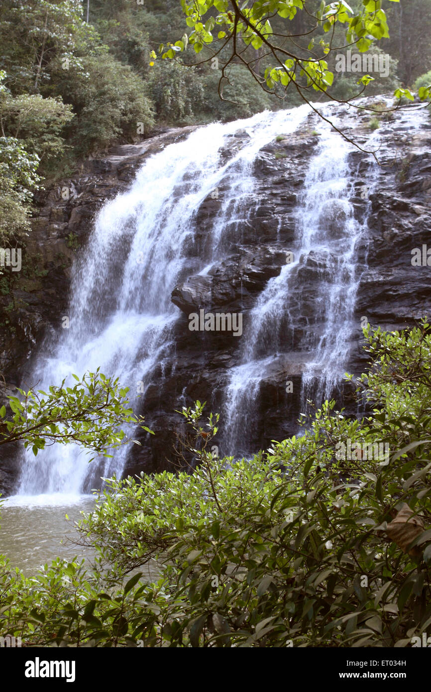 Cascate di Abbey , Coorg , Madykeri , collina stazione , Kodagu distretto , Ghats occidentali , Karnataka , India , Asia Foto Stock