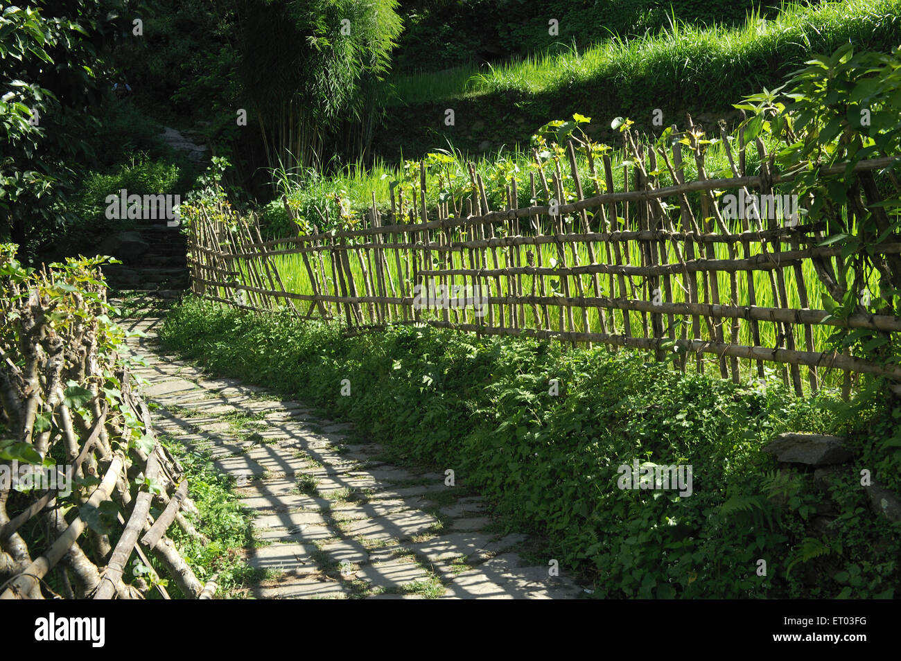 Recinzione di legno , Ghermu , Lamjung , Gandaki , Nepal , Repubblica Democratica del Nepal , Asia meridionale , Asia Foto Stock