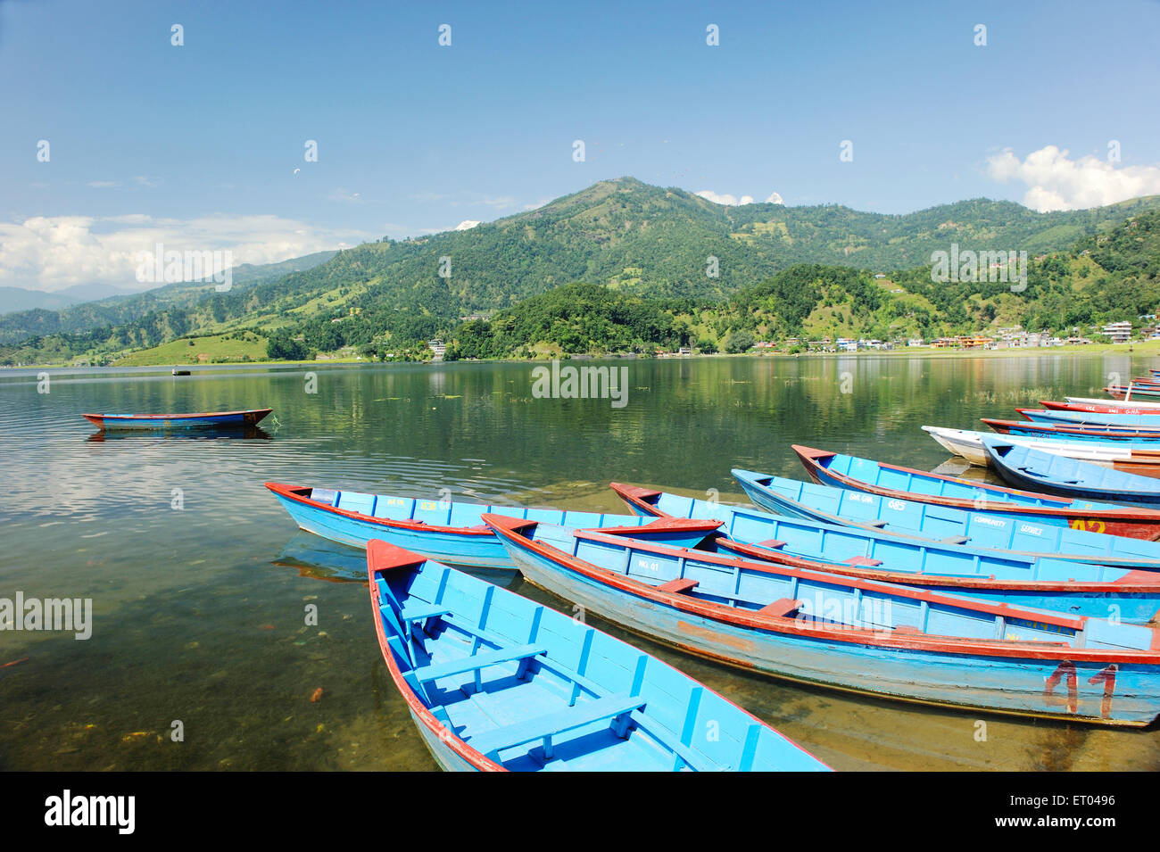 Barche a Phewa Lake , Pokhara , Gandaki Pradesh , Nepal , Repubblica Democratica del Nepal , Asia meridionale , Asia Foto Stock