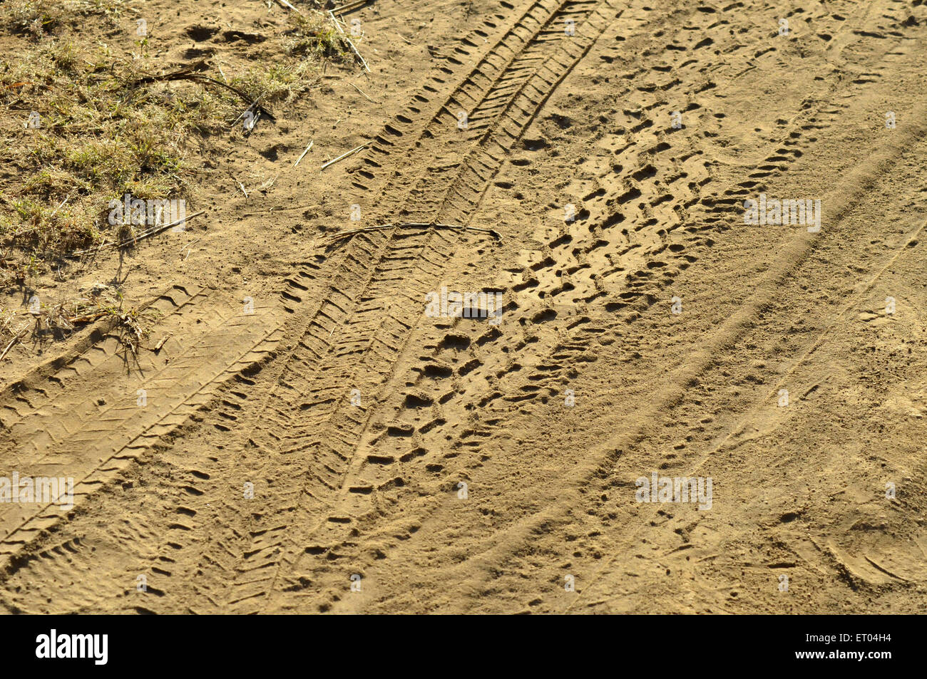 Jeep tracce di pneumatici nel fango a Gujarat India Foto Stock