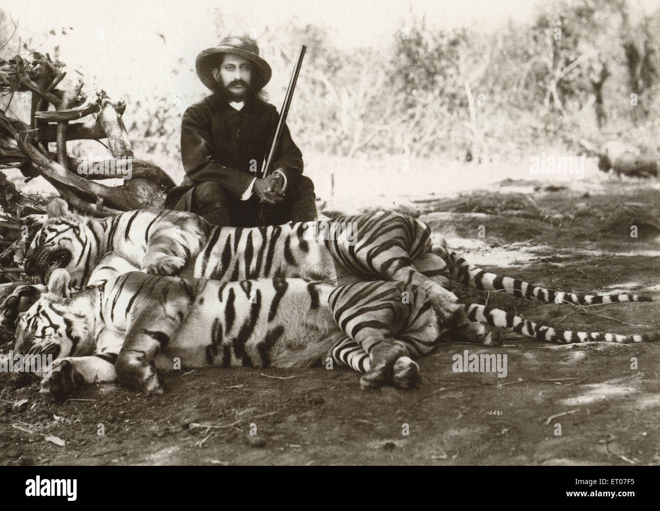 Uomo britannico che indossa cappello pistola con tigri morte, caccia tigre,  caccia tigre, India, vecchia annata 1800s foto Foto stock - Alamy