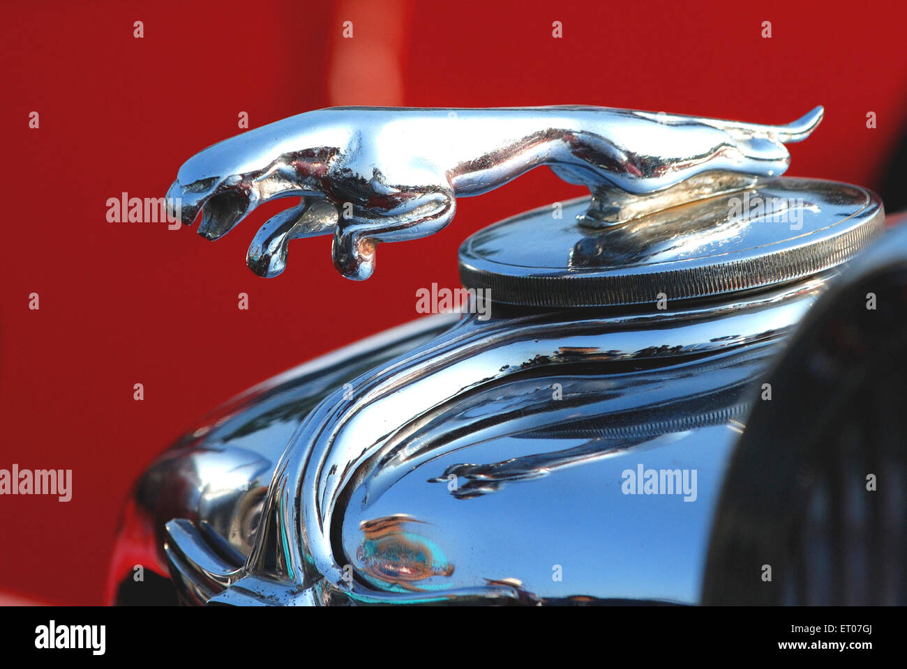 Auto d'epoca con il logo Jaguar in baldolo ornamentale Foto Stock