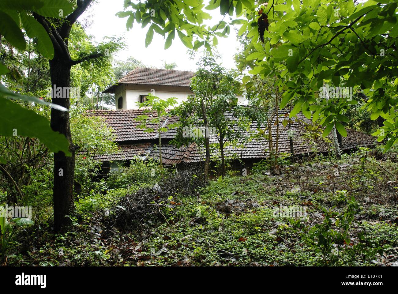 Vecchia casa tradizionale di Nambudiri, Namboodiri, Namboothiri, Namputiri, Malesi Brahmin, Panjal, Chelakkara, Thrissur, Kerala, India, Asia Foto Stock