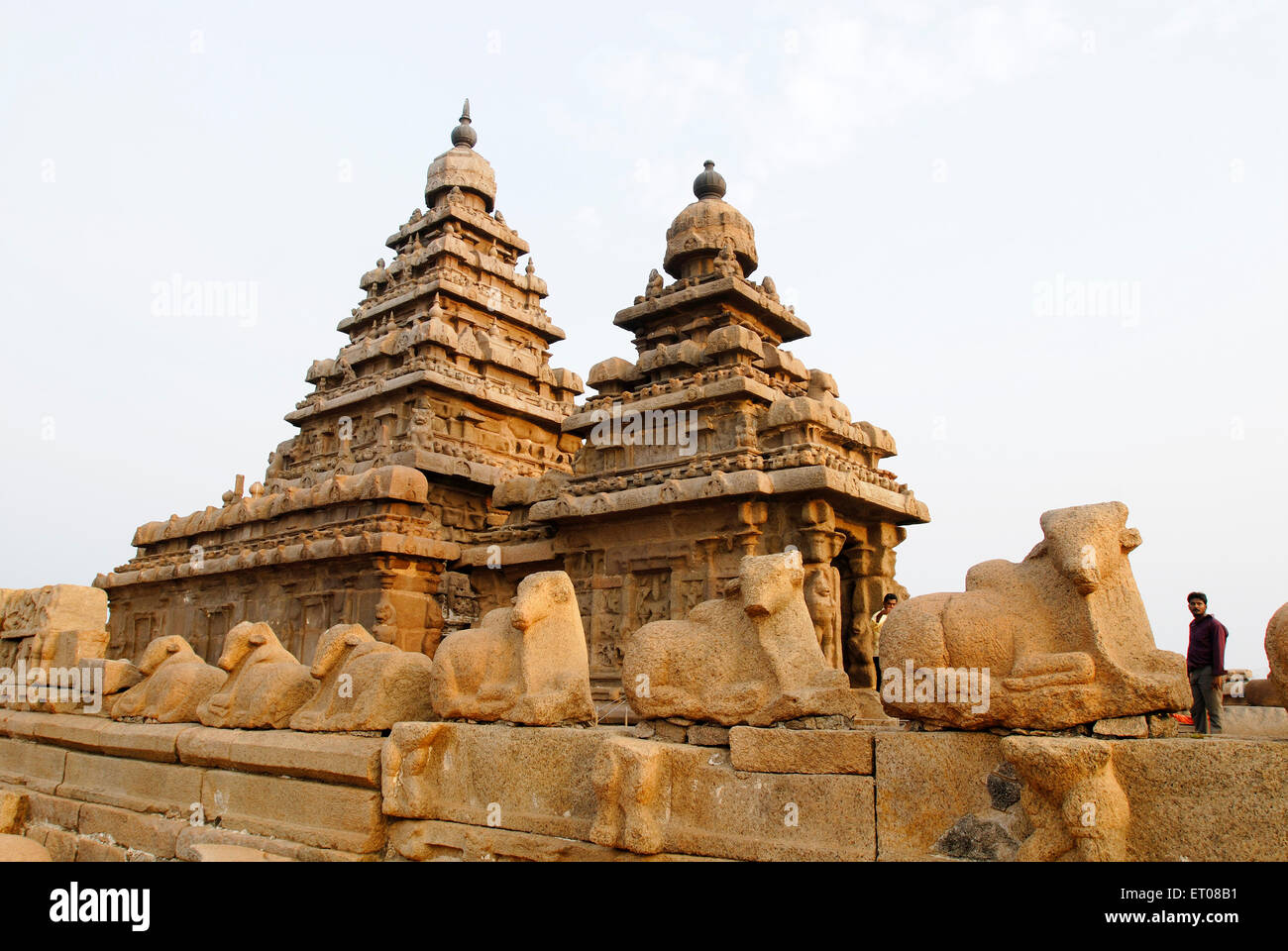 La riva tempio di Mahabalipuram ; Tamil Nadu ; India Foto Stock