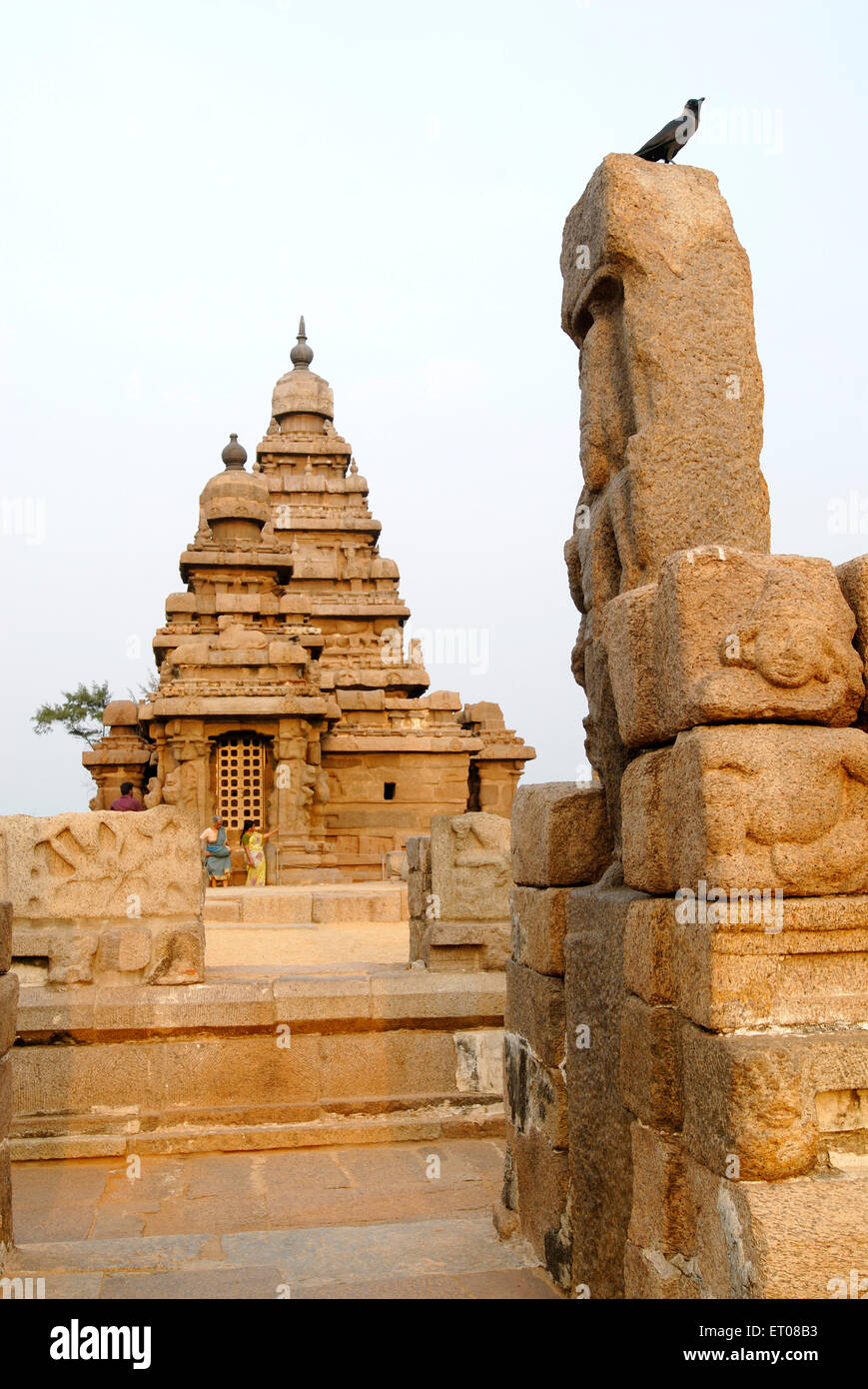 La riva tempio di Mahabalipuram ; Tamil Nadu ; India Foto Stock