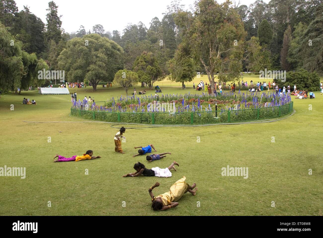 Il governo giardino botanico che è stato stabilito nel 1847 dal marchese di Tweeddale a Udhagamandalam Ooty ; Tamil Nadu Foto Stock