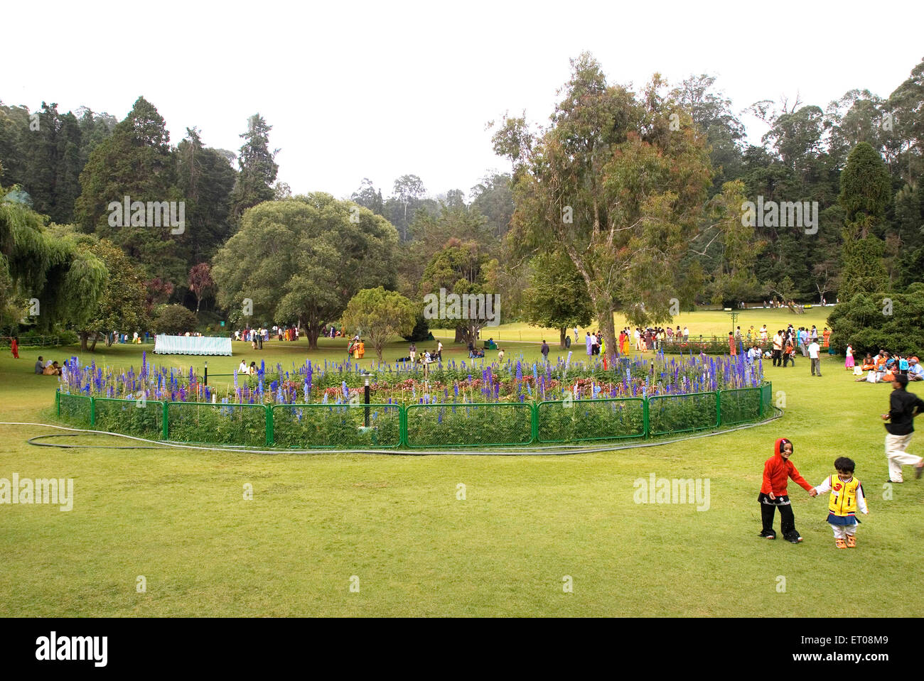 Il governo giardino botanico che è stato stabilito nel 1847 dal marchese di Tweeddale a Udhagamandalam Ooty ; Tamil Nadu Foto Stock