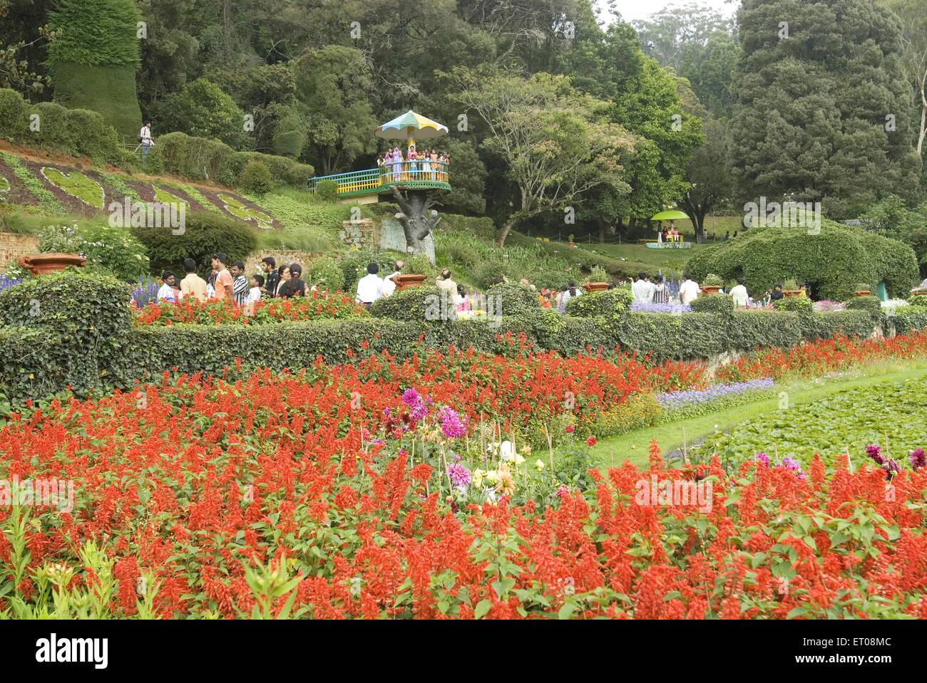 Il governo giardino botanico che è stato stabilito nel 1847 dal marchese di Tweeddale a Udhagamandalam Ooty ; Tamil Nadu Foto Stock