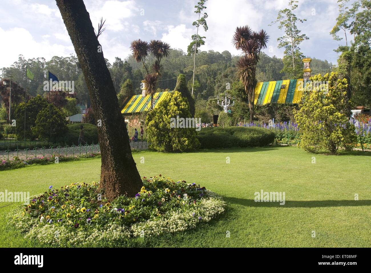 Orto Botanico del Governo , Ooty , Udhagamandalam , Hill Station , Nilgiris , Ghat occidentali , Tamil Nadu , India , Asia Foto Stock