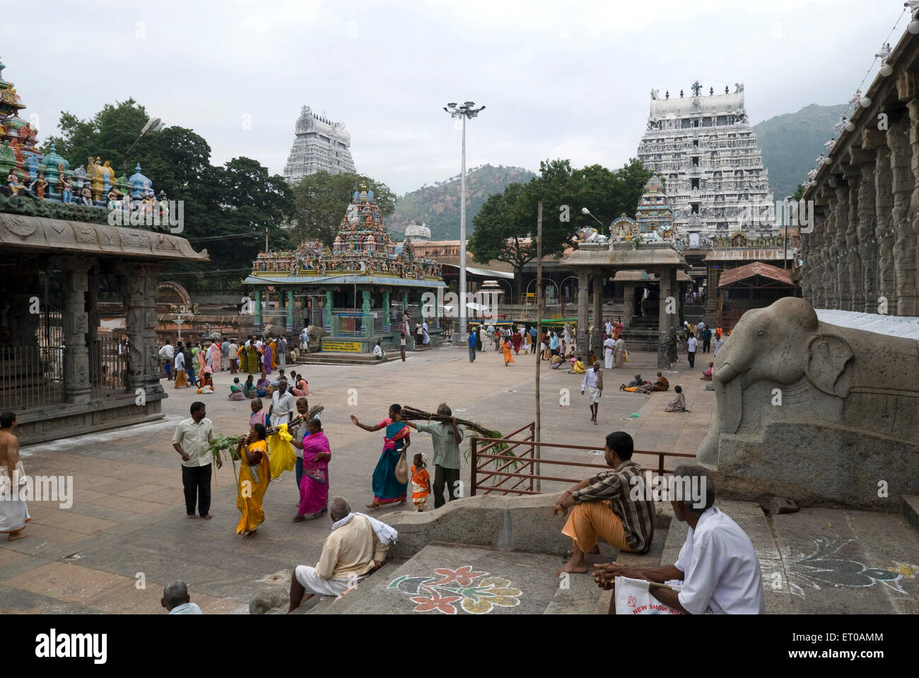 Arunachaleshwara tempio dedicato al dio Shiva Chola Periodo dal IX secolo XIII in Thiruvannamalai ; Tamil Nadu ; India Foto Stock