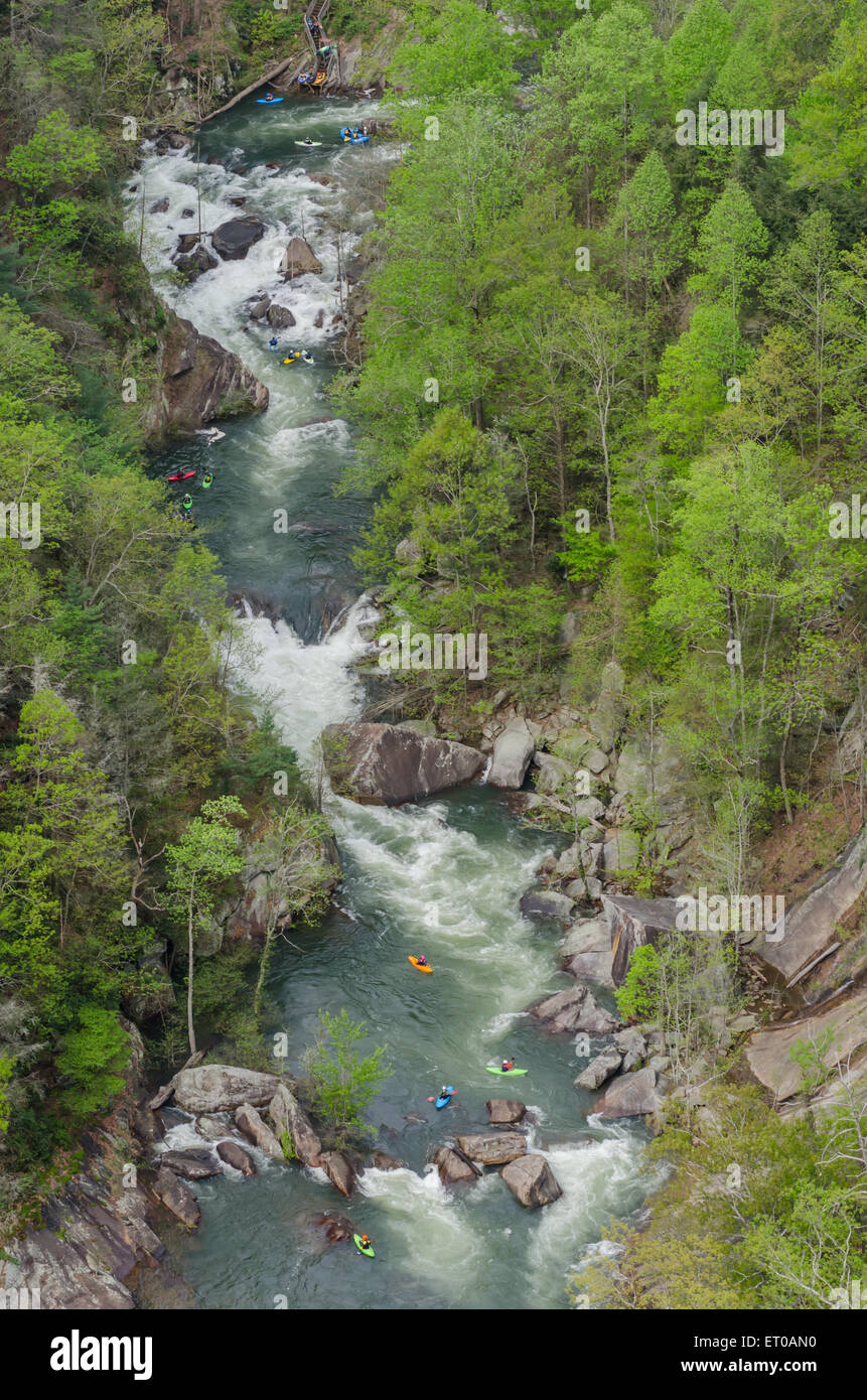 Kayakers godono di un elevato rilascio il giorno lungo il fiume Toccoa in Tallulah Gorge Foto Stock