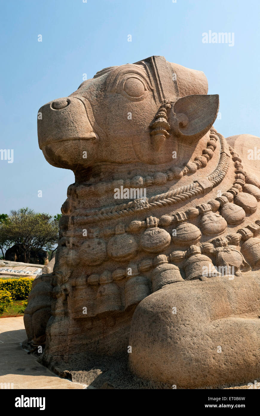 Maggiori nandi monolitico scultura in Lepakshi ; Andhra Pradesh ; India Foto Stock