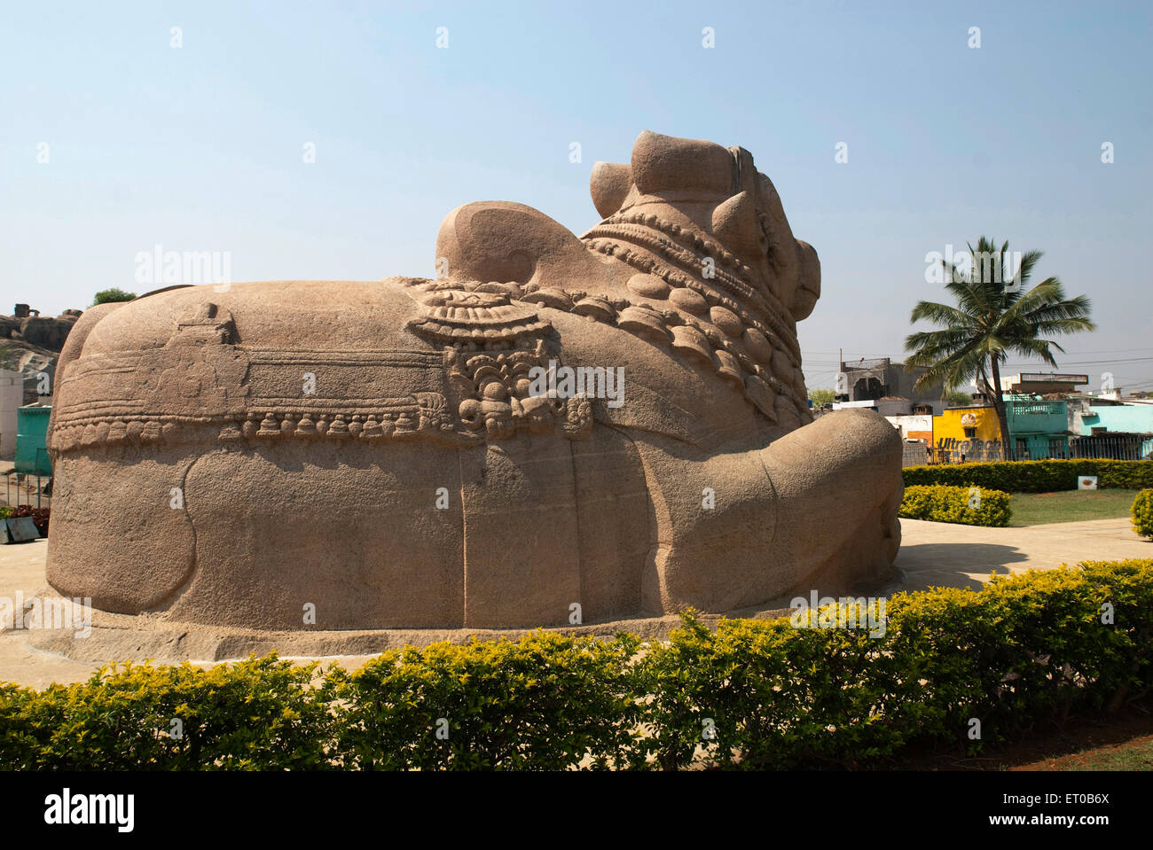 Maggiori nandi monolitico scultura in Lepakshi ; Andhra Pradesh ; India Foto Stock