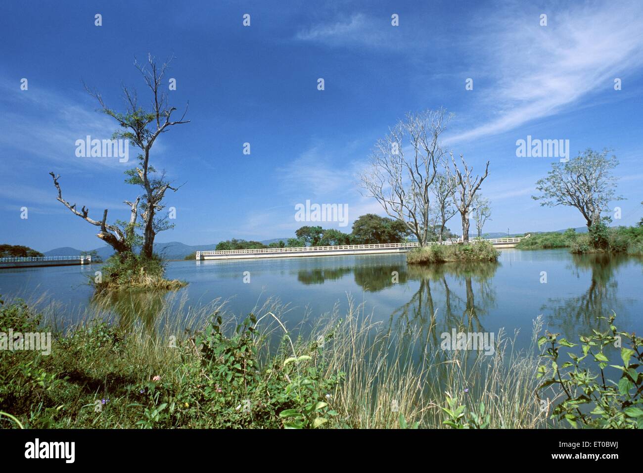 Moyar check lago diga, Masinagudi, Ooty, stazione collina, Ootacamund, Udagamandalam, Udhagamandalam, collina di Nilgiri, Ghat occidentale, Tamil Nadu, India, Asia Foto Stock