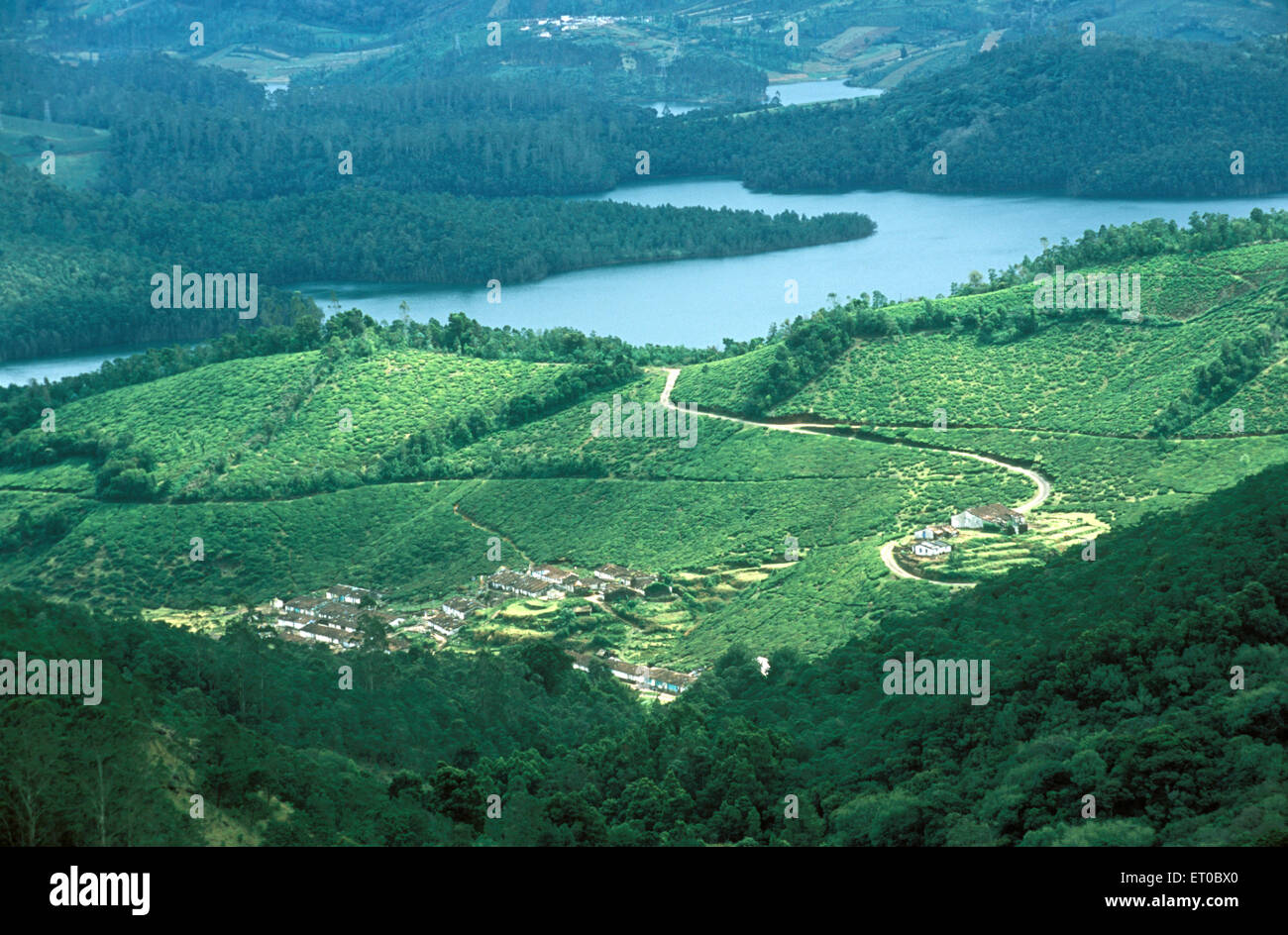 Lago Smeraldo, Ooty, stazione collinare, Ootacamund, Udagamandalam, Udhagamandalam, collina di Nilgiri, valle silenziosa, Ghat occidentale, Tamil Nadu, India, Asia Foto Stock