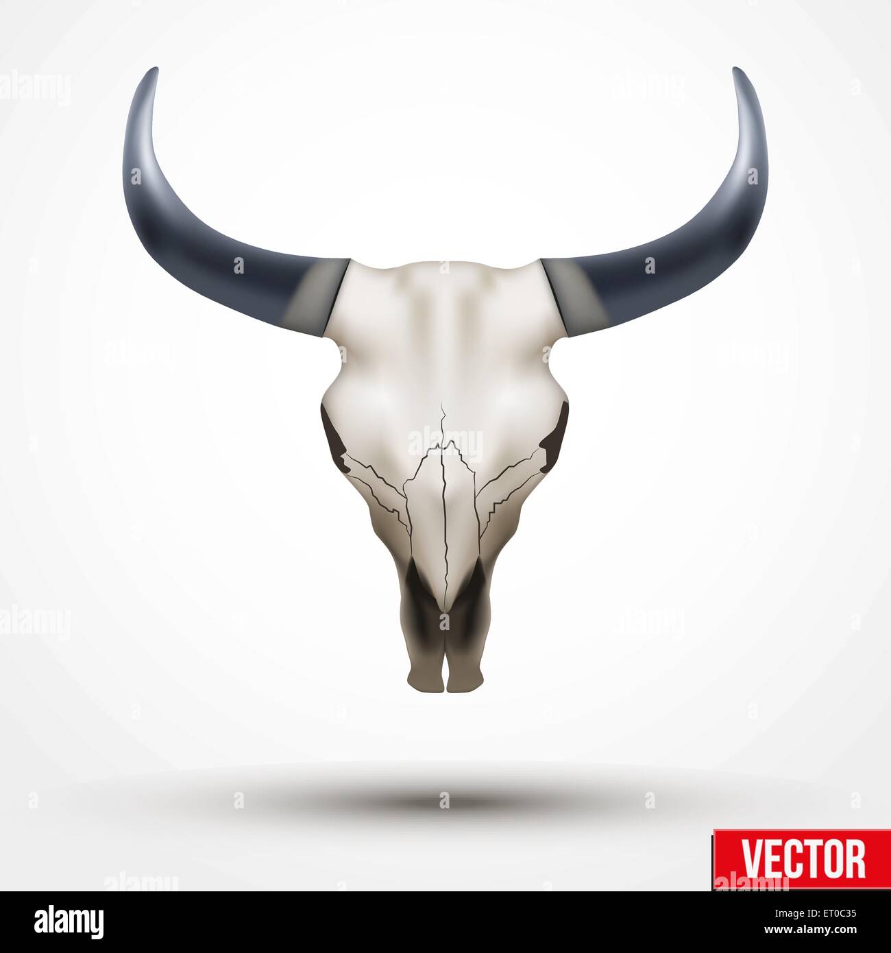 Cranio animale con le corna. Illustrazione Vettoriale