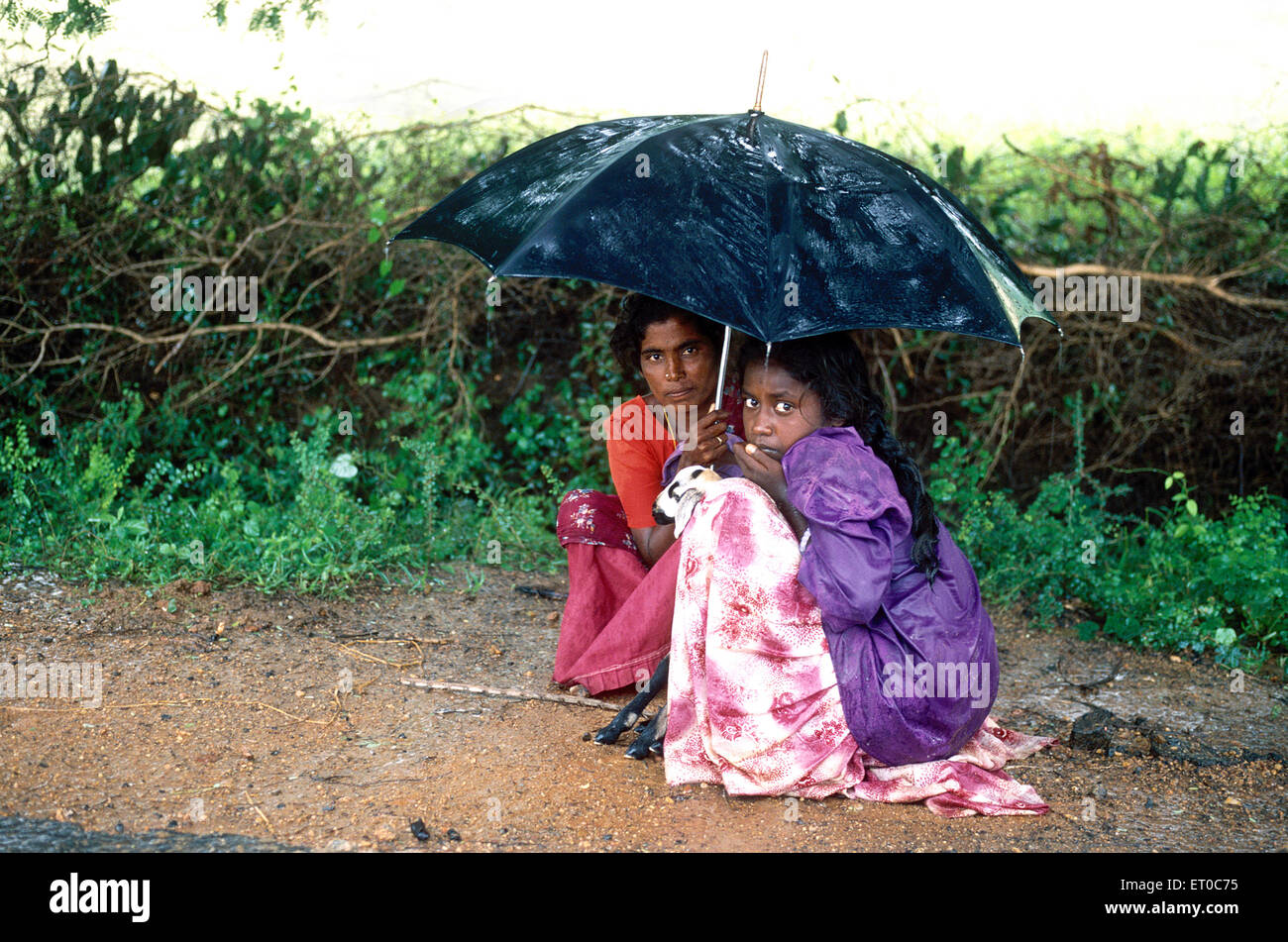 Madre e figlia con capra seduto sotto ombrello sotto la pioggia, Tamil Nadu ; India, asia Foto Stock