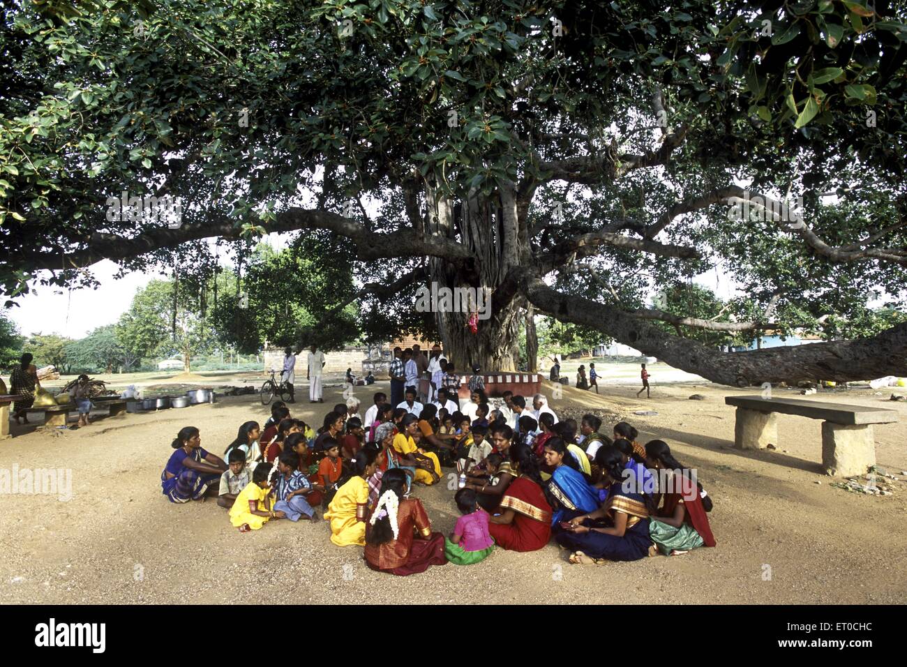 Persone che siedono sotto l'albero baniano , l'albero baniano , l'albero bero , ficus bengalensis , ficus indica , bat bargad ; India , asia Foto Stock