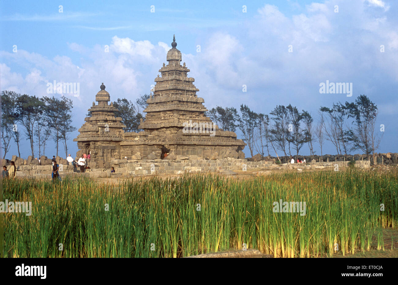 A Riva il tempio cinque piani di struttura in 700 728 CE in Mahabalipuram Mamallapuram ; Tamil Nadu ; India Foto Stock