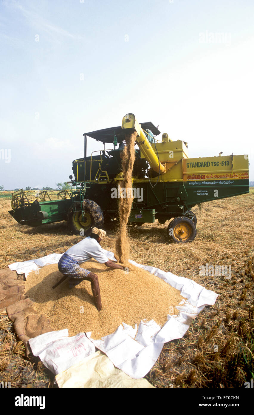 Macchina raccoglitrice in campi , Neyveli ; distretto di Cuddalore , Tamil Nadu ; India , asia Foto Stock