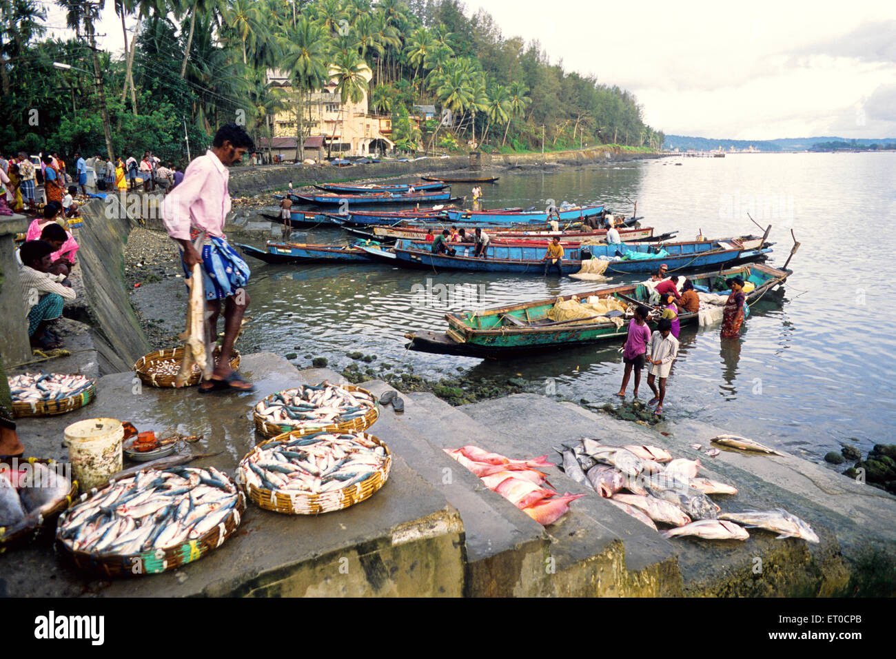 Jungli Ghat , Port Blair ; Isole Andamane ; Isole Andamane e Nicobare , Union Territory , UT , India , Asia Foto Stock