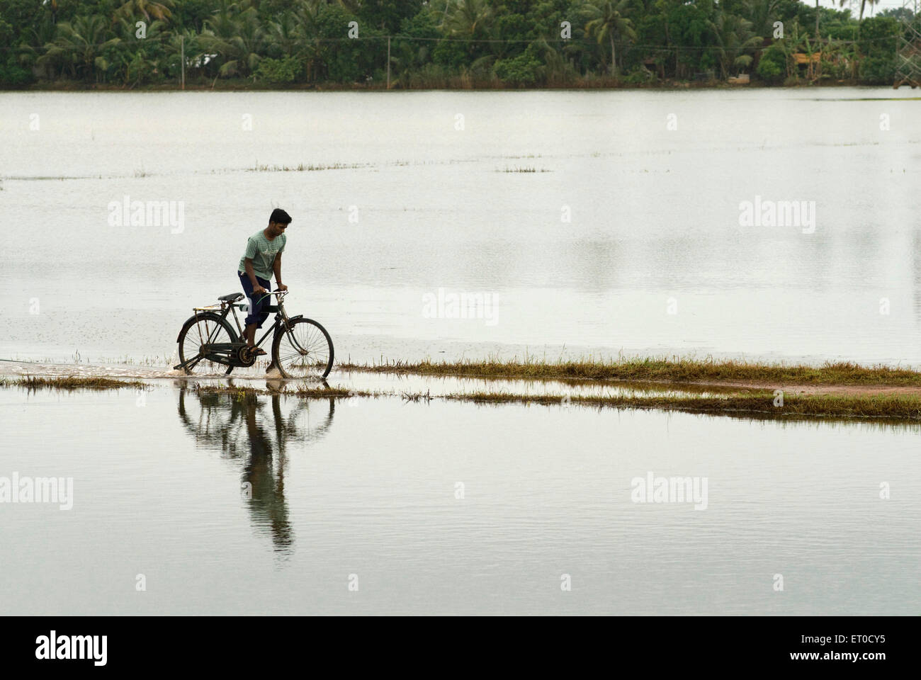 Uomo in bicicletta percorrendo strada coperta con acqua a causa di monsone ; Alappuzha Alleppey ; Kerala ; India Foto Stock