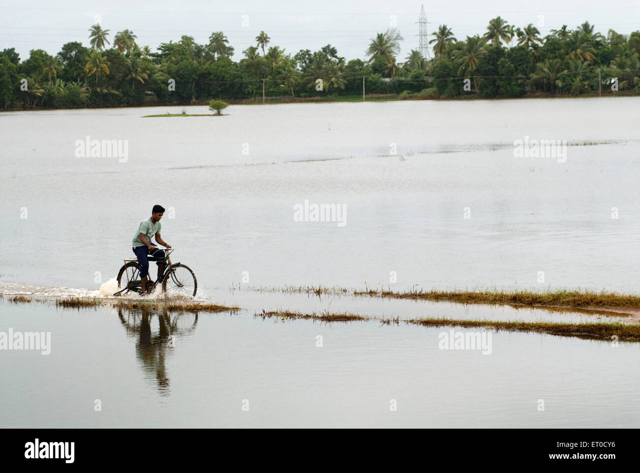 Uomo in bicicletta percorrendo strada coperta con acqua a causa di monsone ; Alappuzha Alleppey ; Kerala ; India Foto Stock