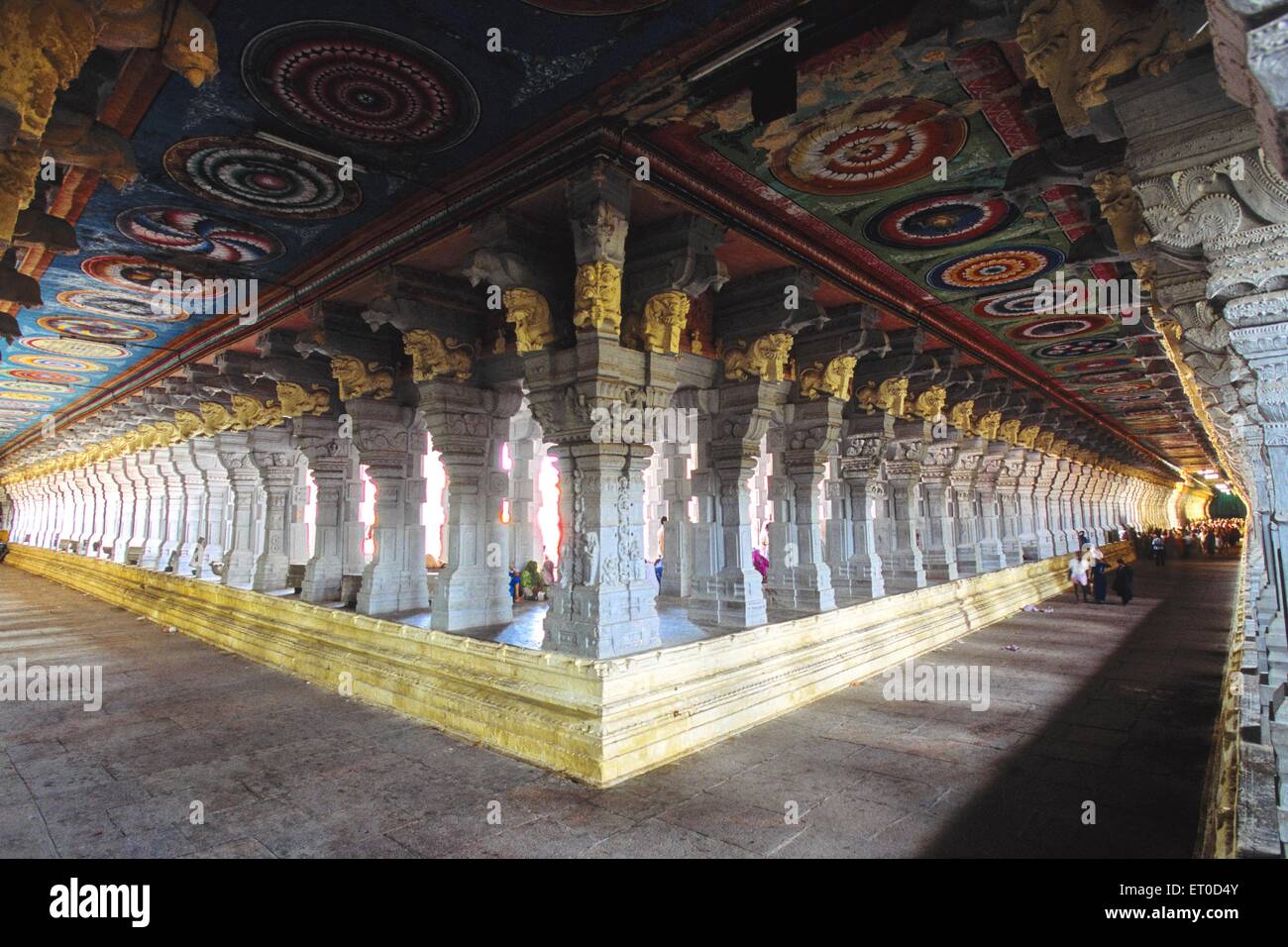 Ramanathaswamy temple ; Rameswaram Rameshvaram ; Tamil Nadu ; India - maa 172949 Foto Stock