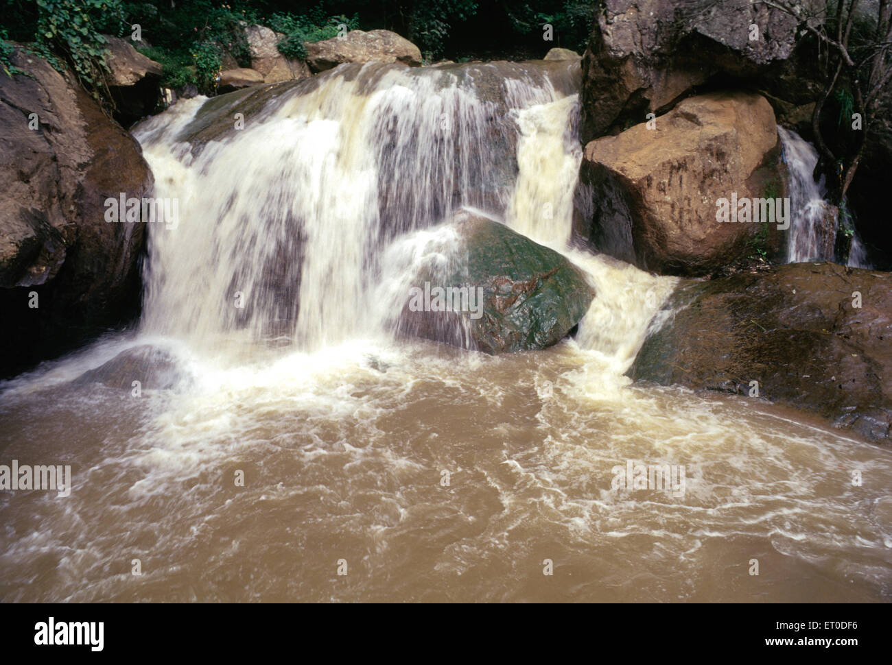 Cascate di Law, Coonoor, Nilgiris, colline di Nilgiri, Ghat occidentali, Tamil Nadu, India, Asia Foto Stock
