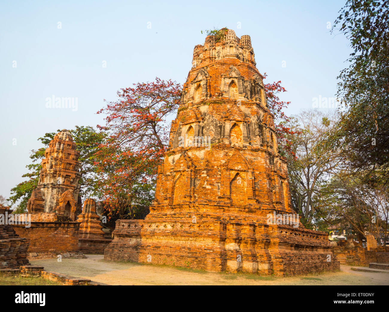 Il Wat Phra Mahathat Ayutthaya Thailandia Foto Stock