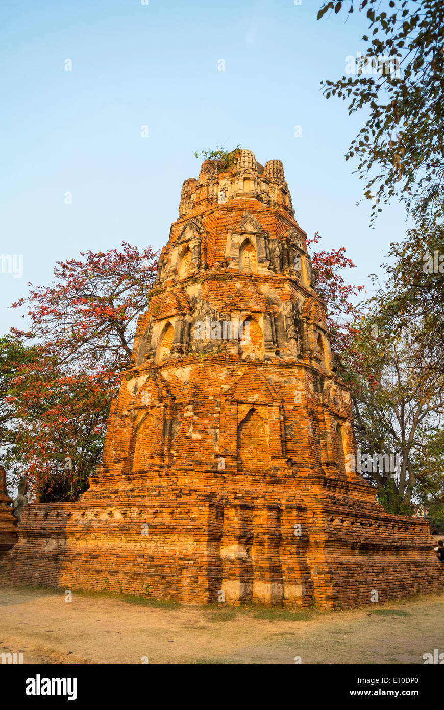 Il Wat Phra Mahathat Ayutthaya Thailandia Foto Stock