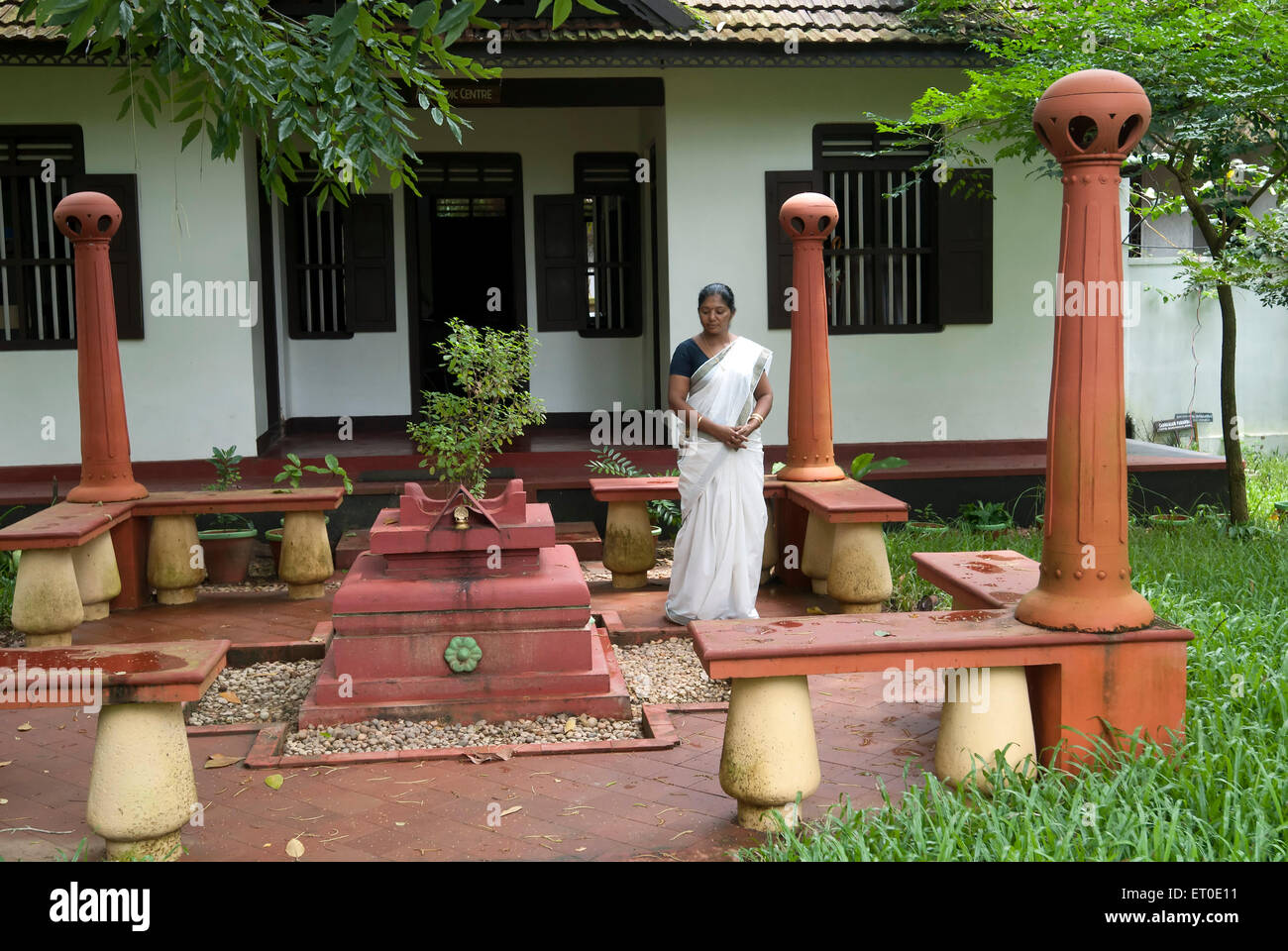 Tulsi Vrindavan pianta in casa giardino, santo basilico, tulsi, tulasi, Alleppey, Alappuzha, Kerala, India, Asia, indiano, Asiatico, Foto Stock