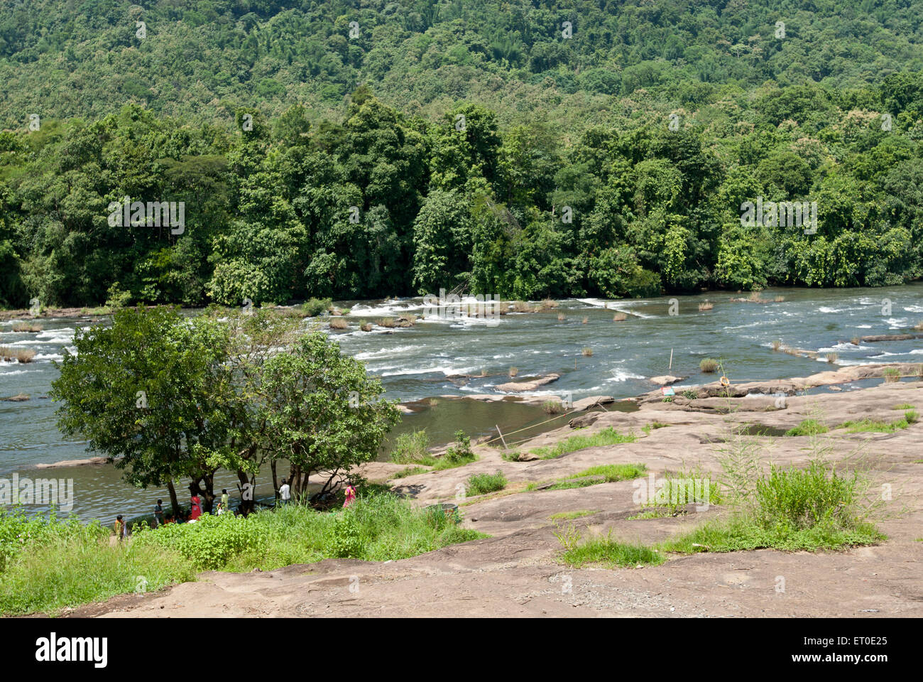 Fiume Chalakudy, fiume Chalakkudy, fiume Chalakkudi, Chalakudy Puzha, Foresta di Vazhachal, Chalakudy, Kerala, India, Asia Foto Stock