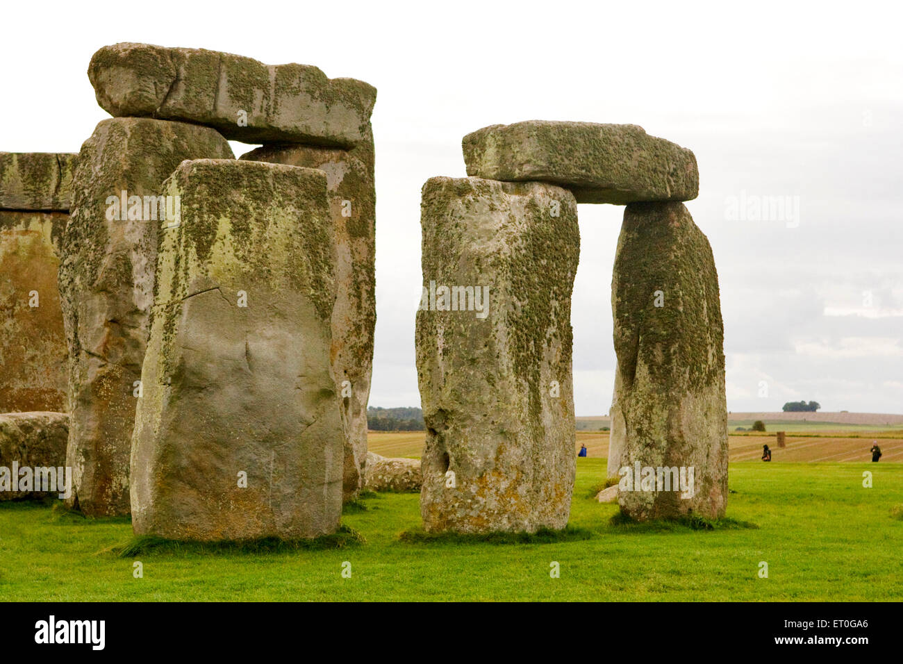 Stonehenge , punto di riferimento storico , monumento preistorico , Wiltshire , Amesbury , Salisbury , Inghilterra , Regno Unito Foto Stock