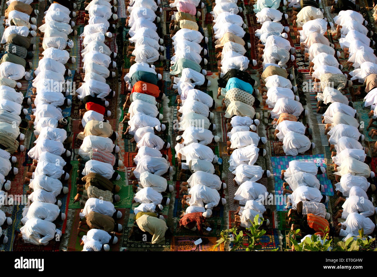I musulmani offrendo namaaz in Mumbra ; Bombay ora Mumbai ; Maharashtra ; India Foto Stock