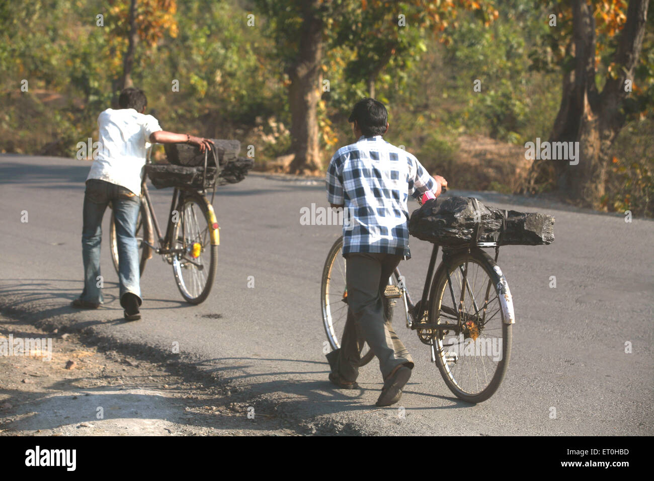 Lavoratori di miniera di carbone che trasportano grumo di carbone caricate nuovamente sede di biciclette in Jharkhand ; India Foto Stock