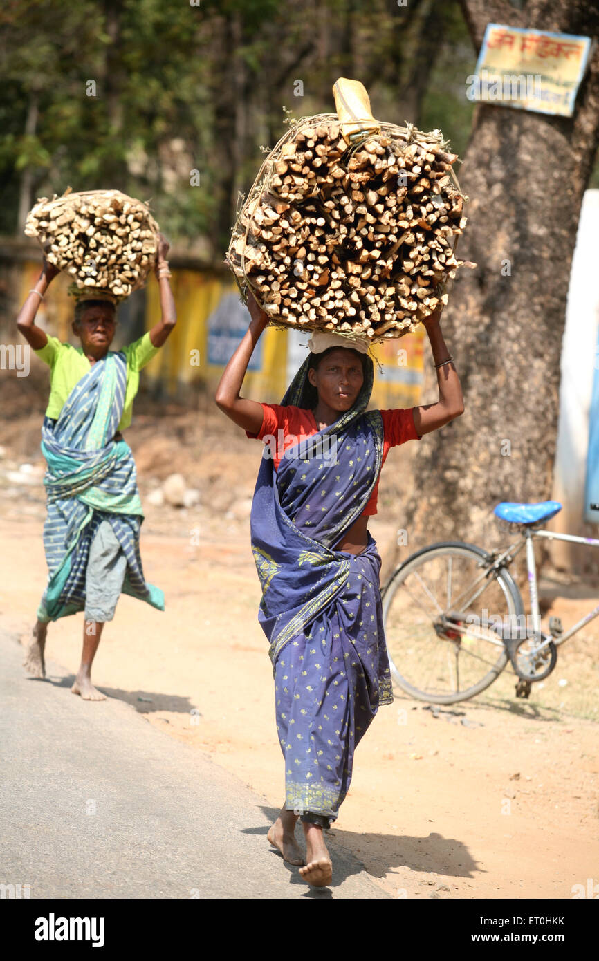 Onorevoli colleghe che trasportano un carico di legno sulle loro teste in Jharkhand ; India n. MR Foto Stock